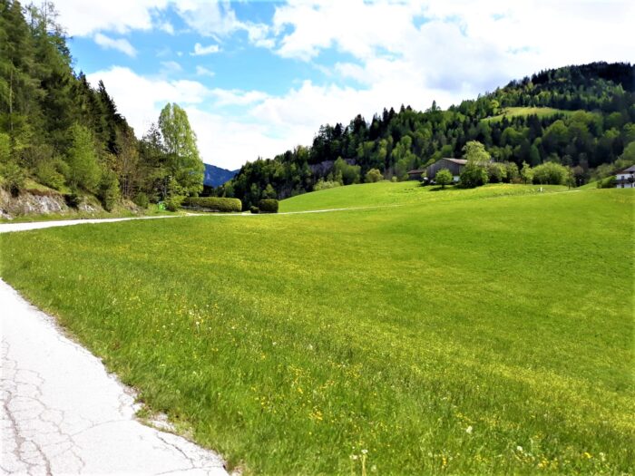 IMG-20190510-WA0005-2-1